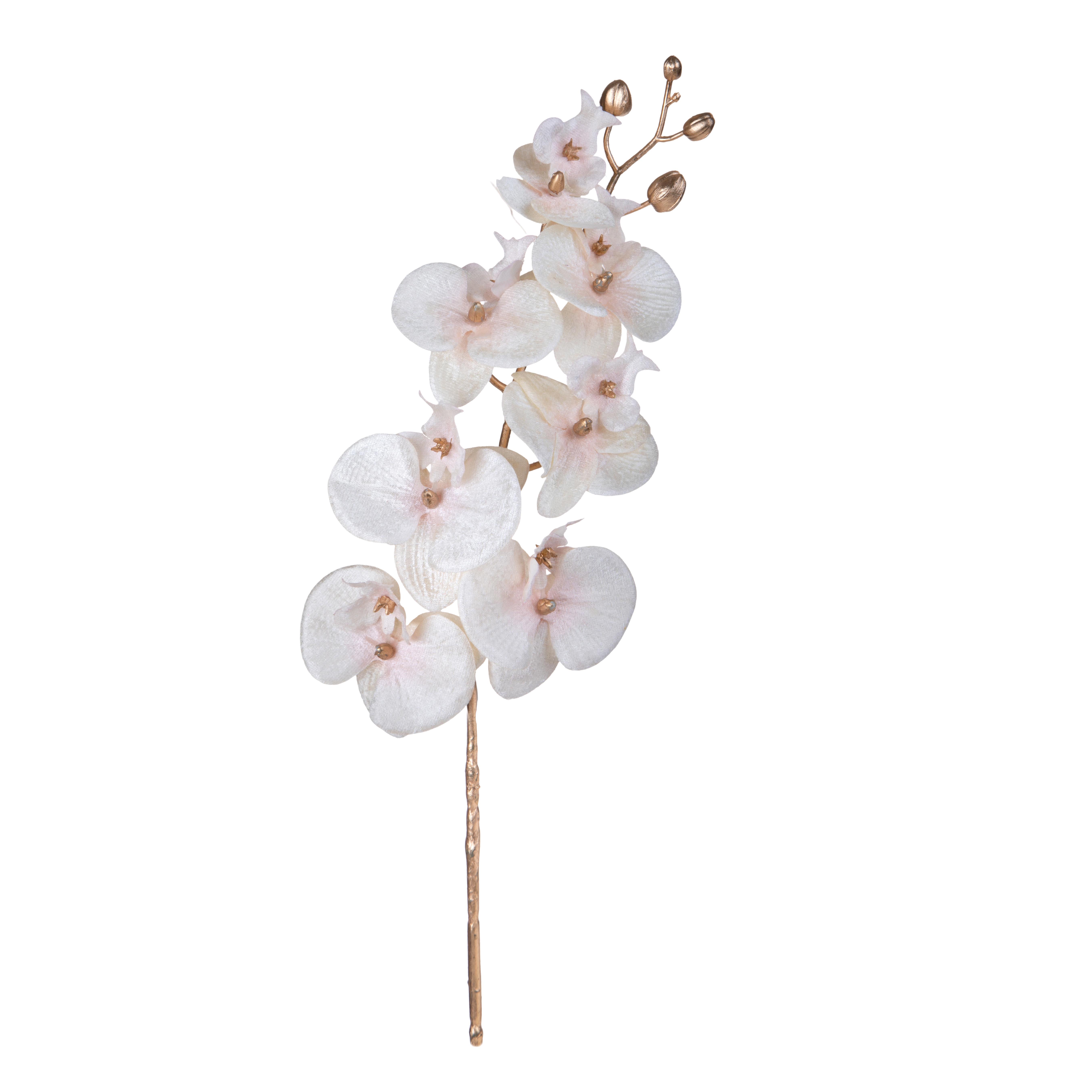 RAMO 75 CM PHALEONOPSIS X 6