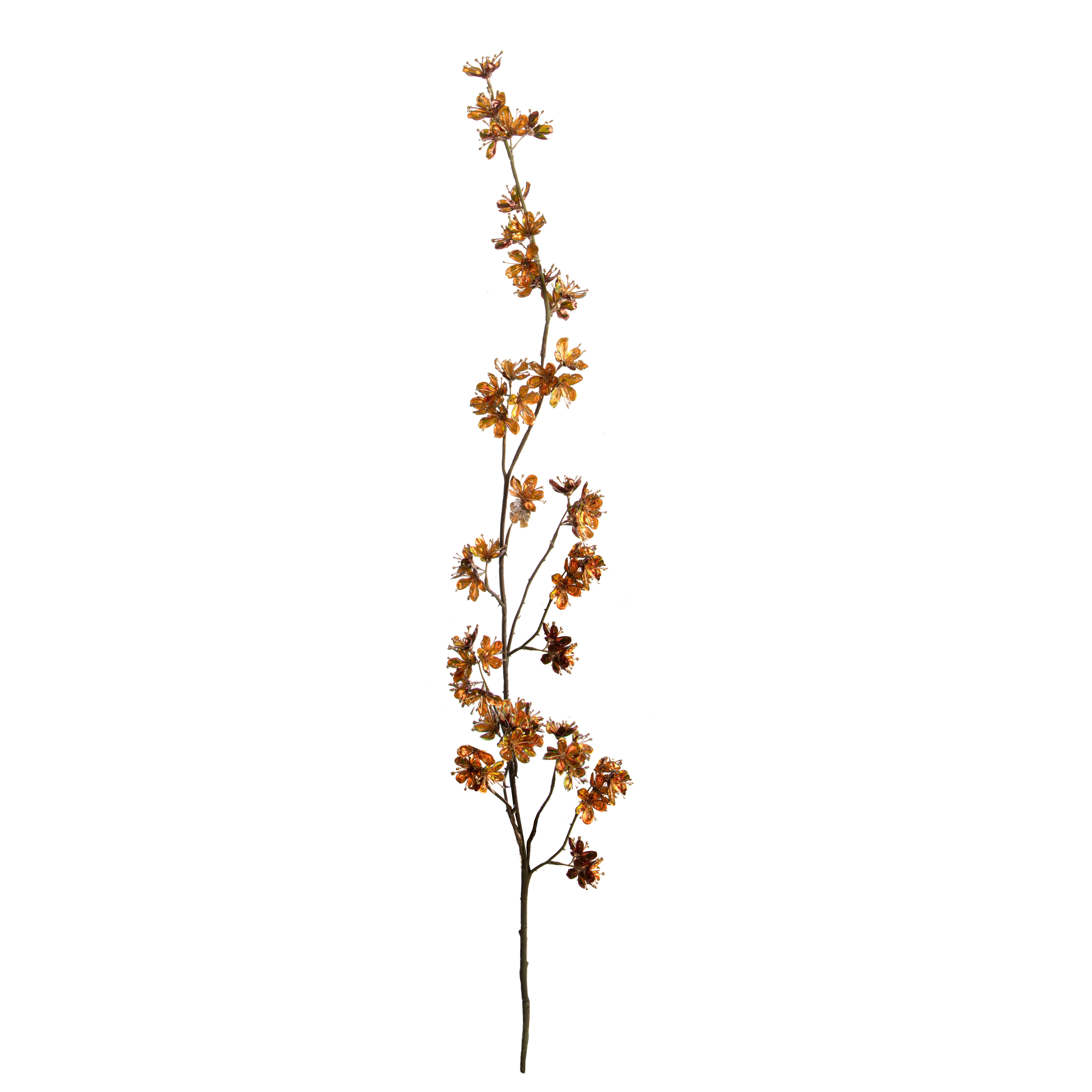 RAMO PRUNUS H.165 CM