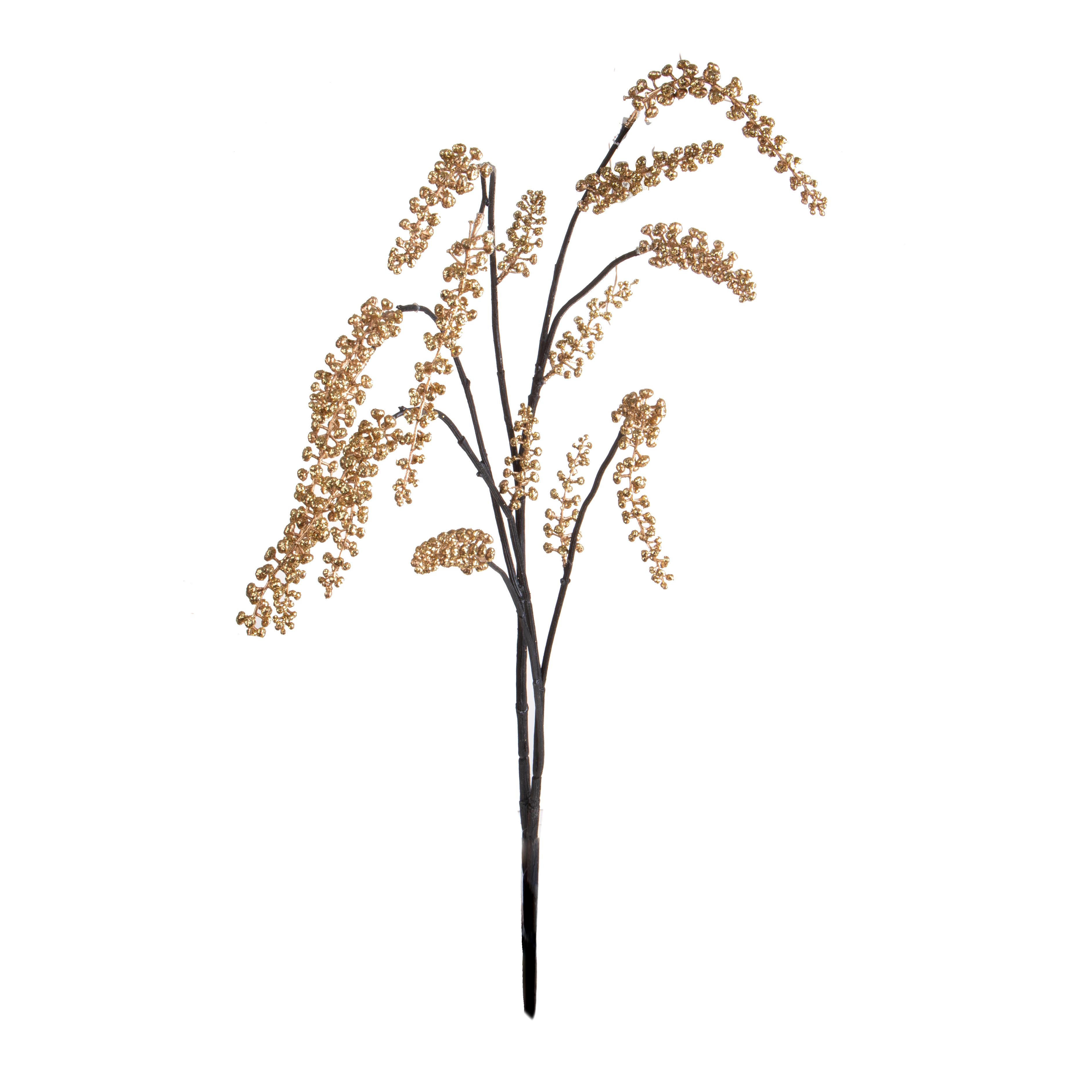 PHYTOLACCA RAMO H.123 CM