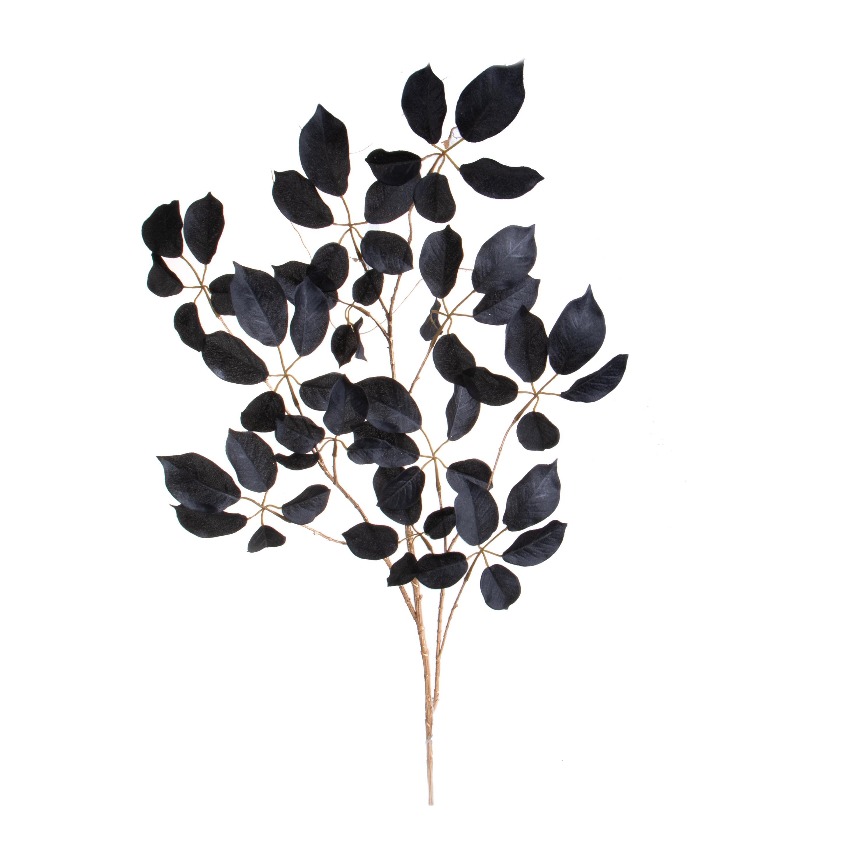 FAGGIO RAMO H.127 CM