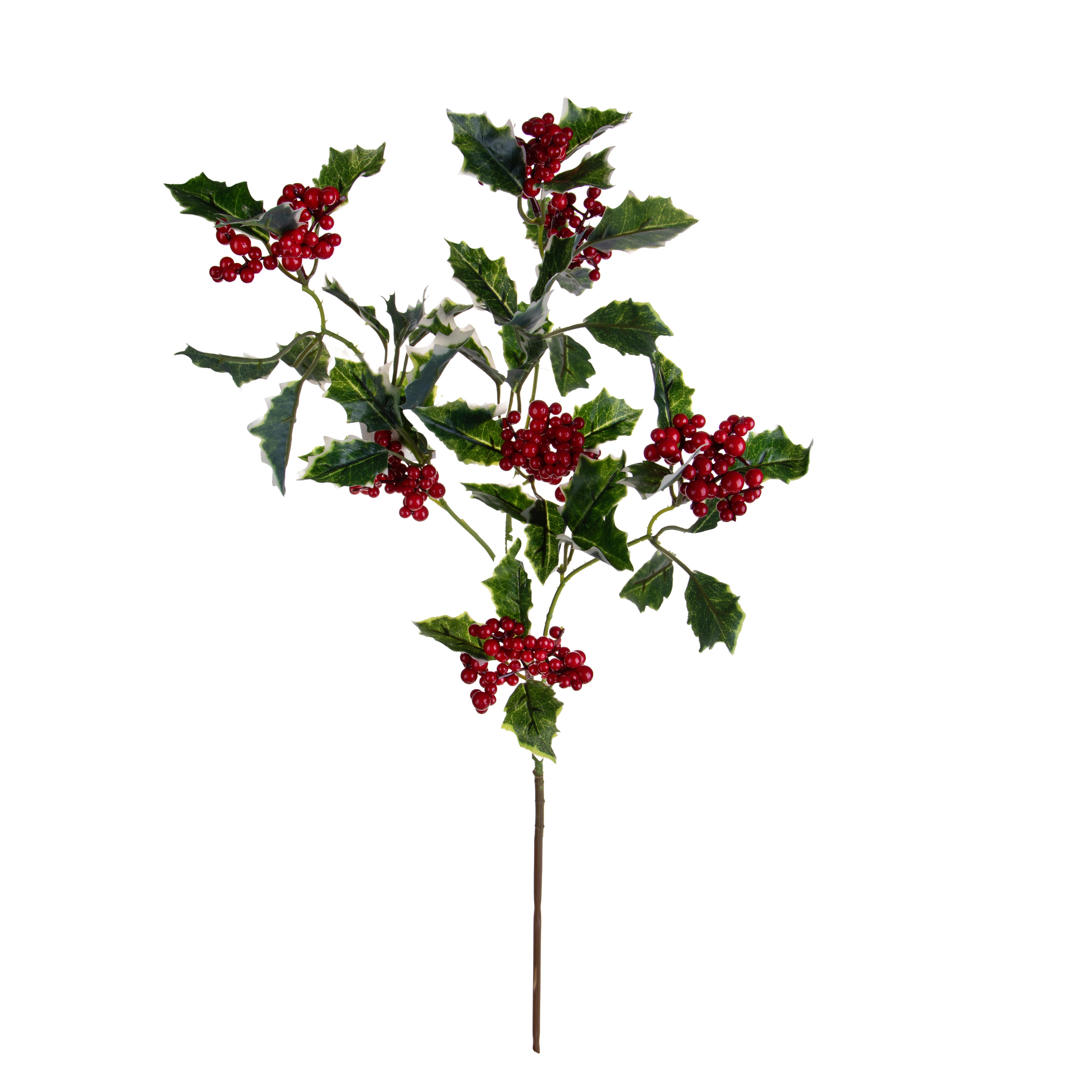 RAMO AGRIFOGLIO 86 CM C/ILEX