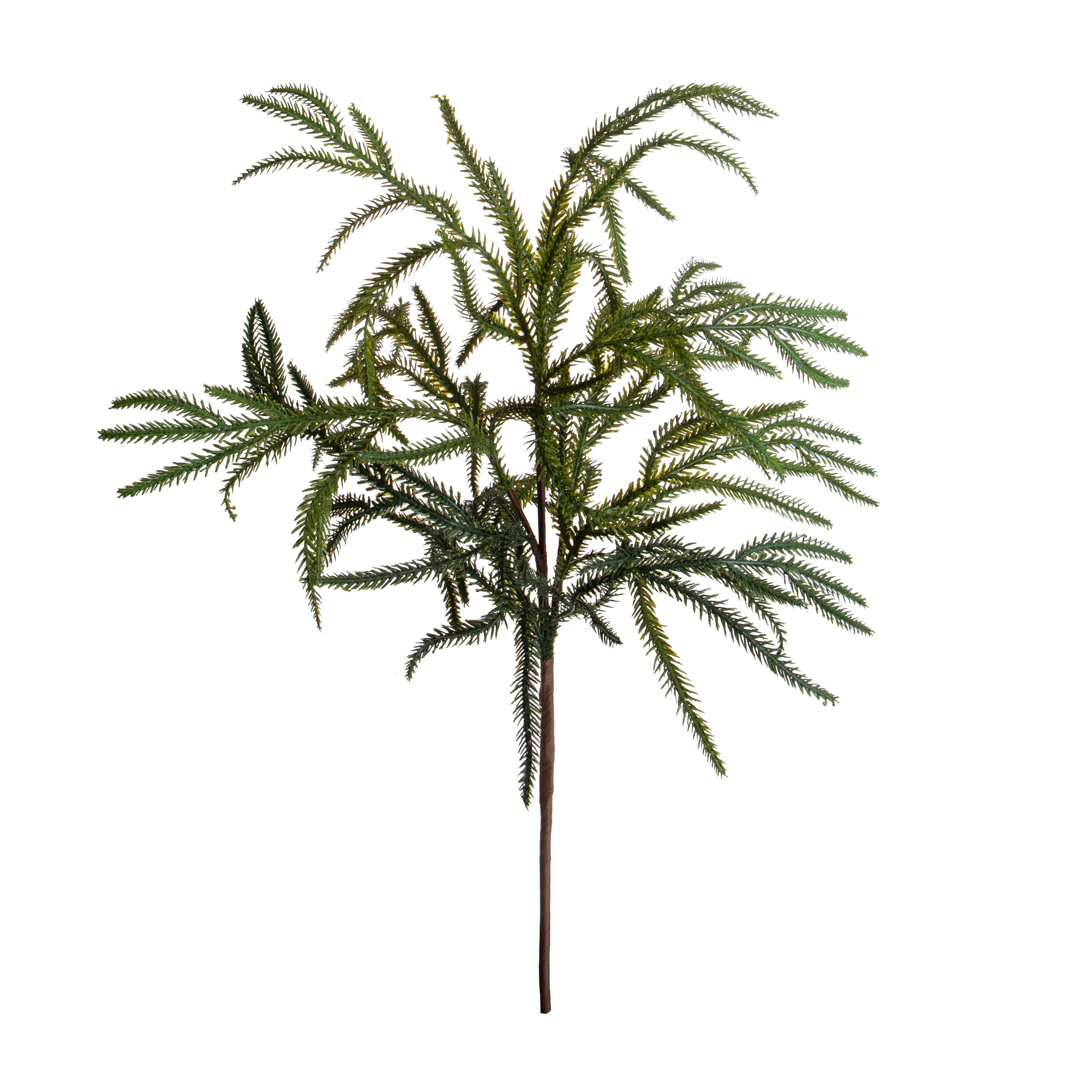 RAMO ABETE H.89 CM NORFOLK