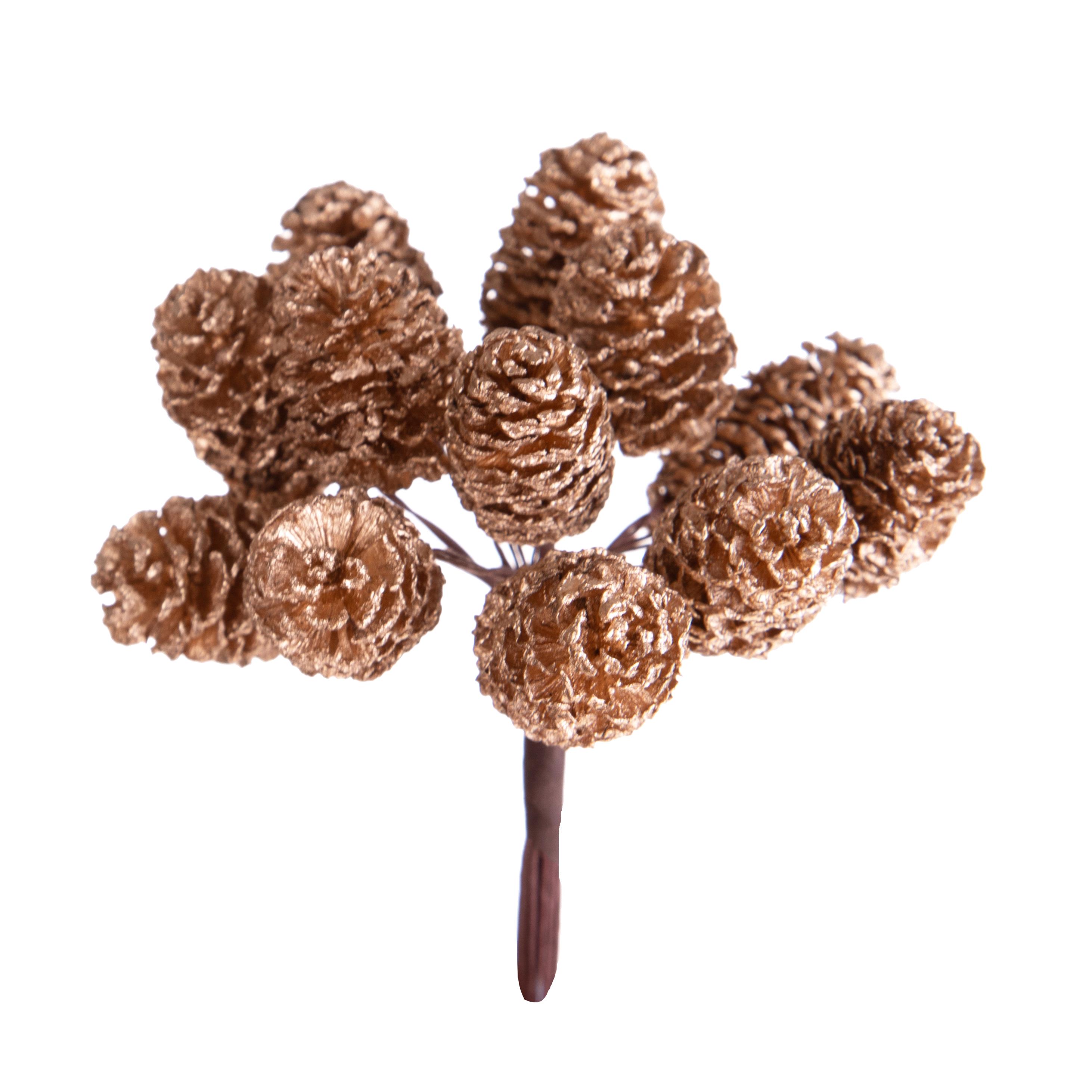 PICK 12 PZ MINI CASORINA 10 CM