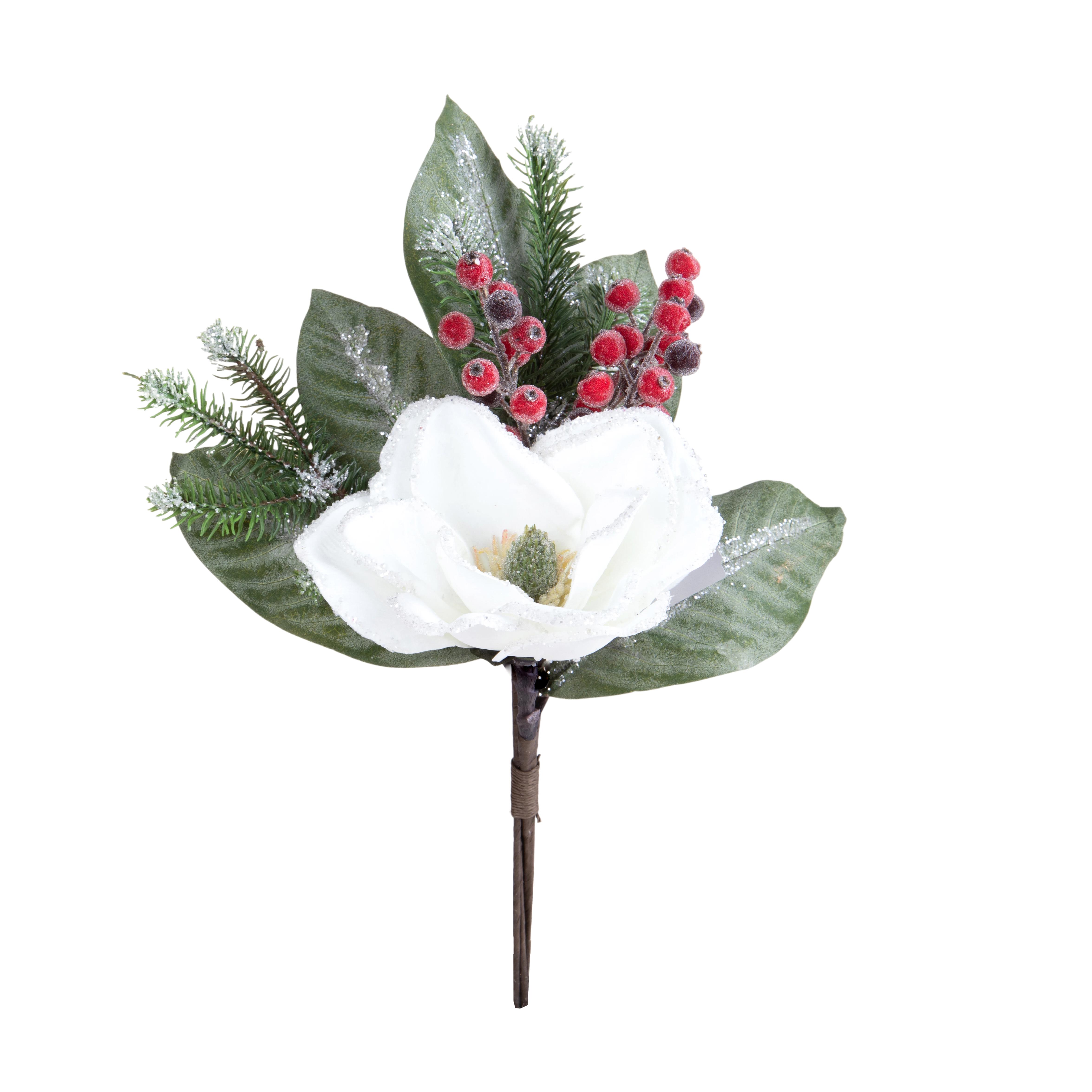 MAGNOLIA MAZZO 48 CM C/BACCHE E PIGNA