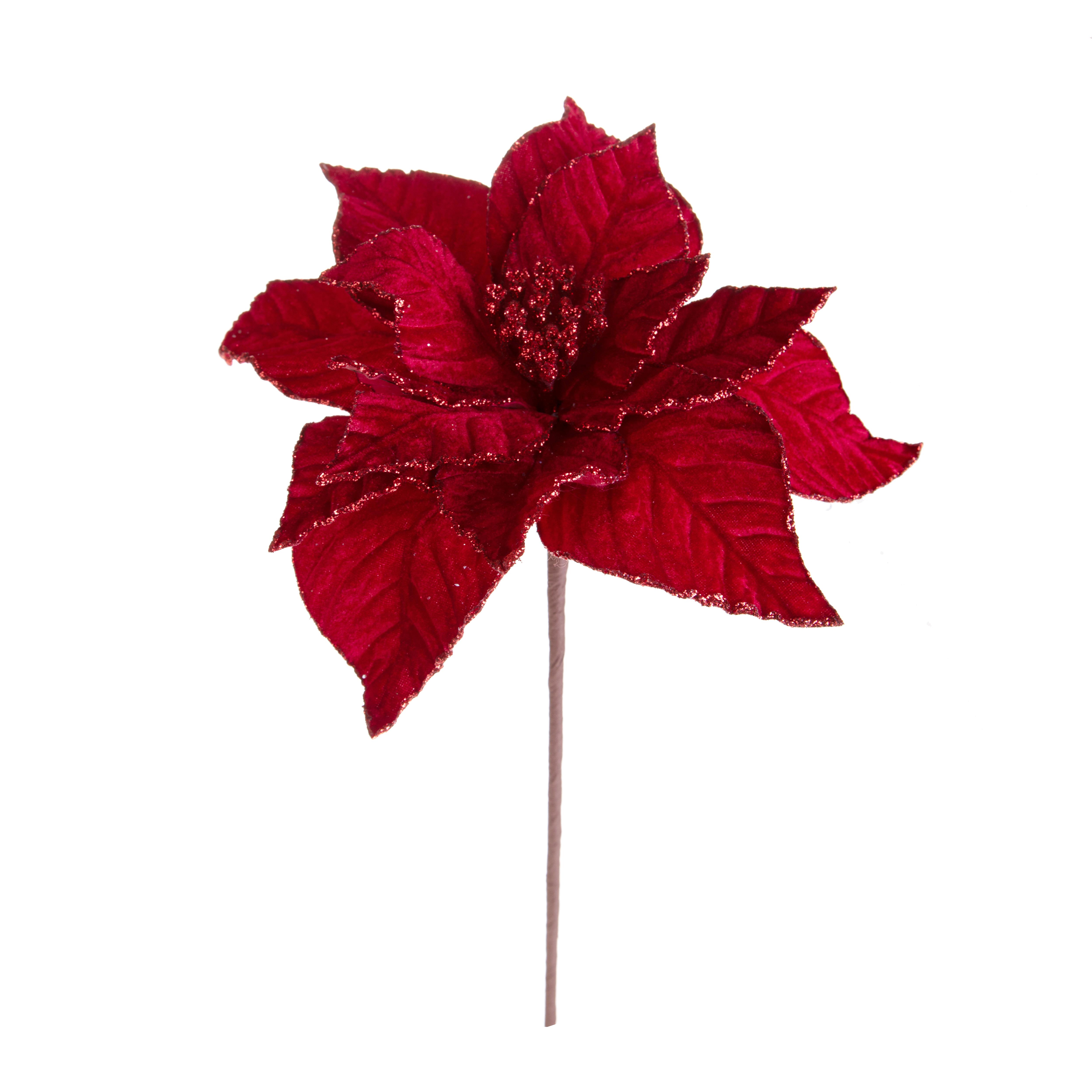 RAMO POINSETTIA H.54 CM