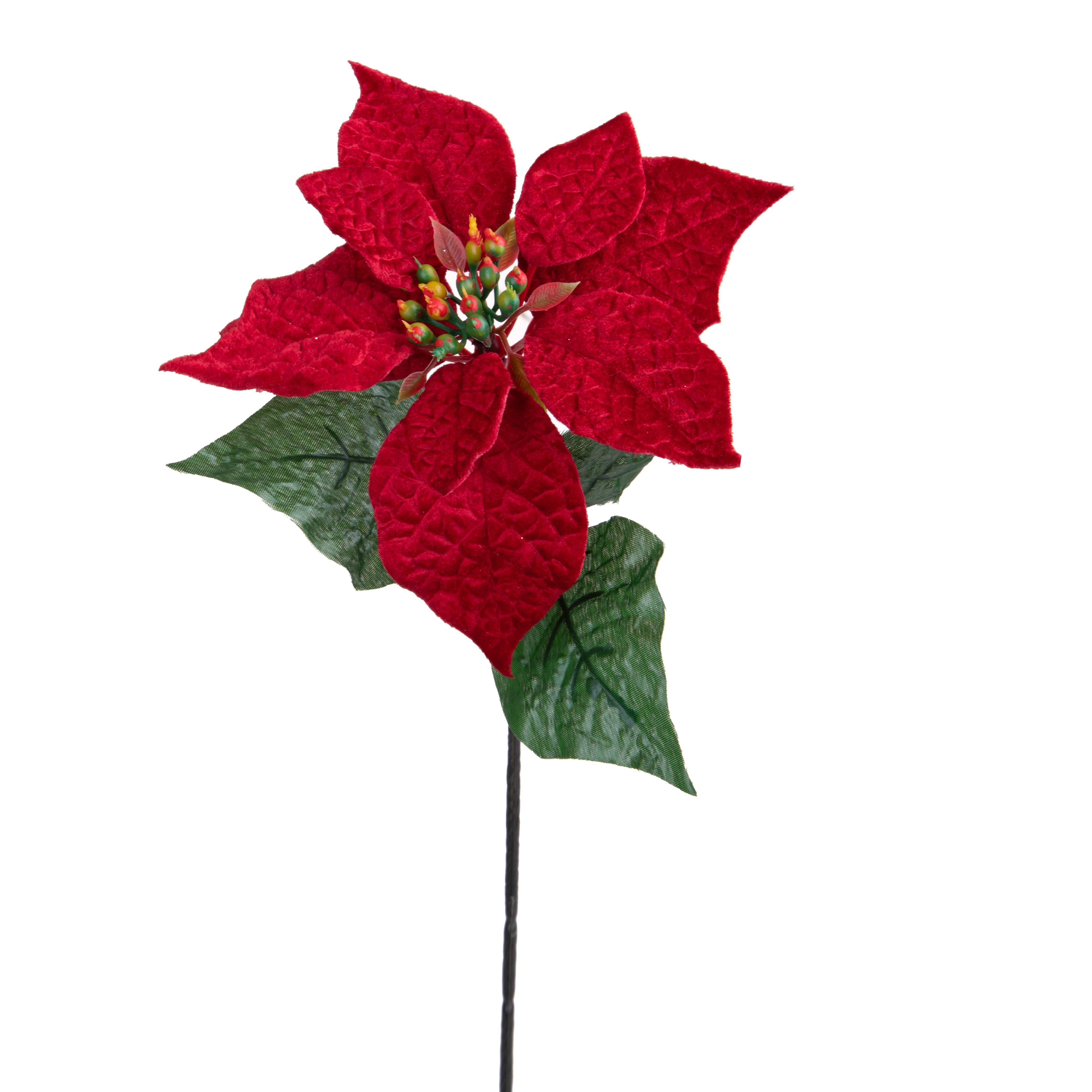 STELLA NATALE VELVET 73 CM