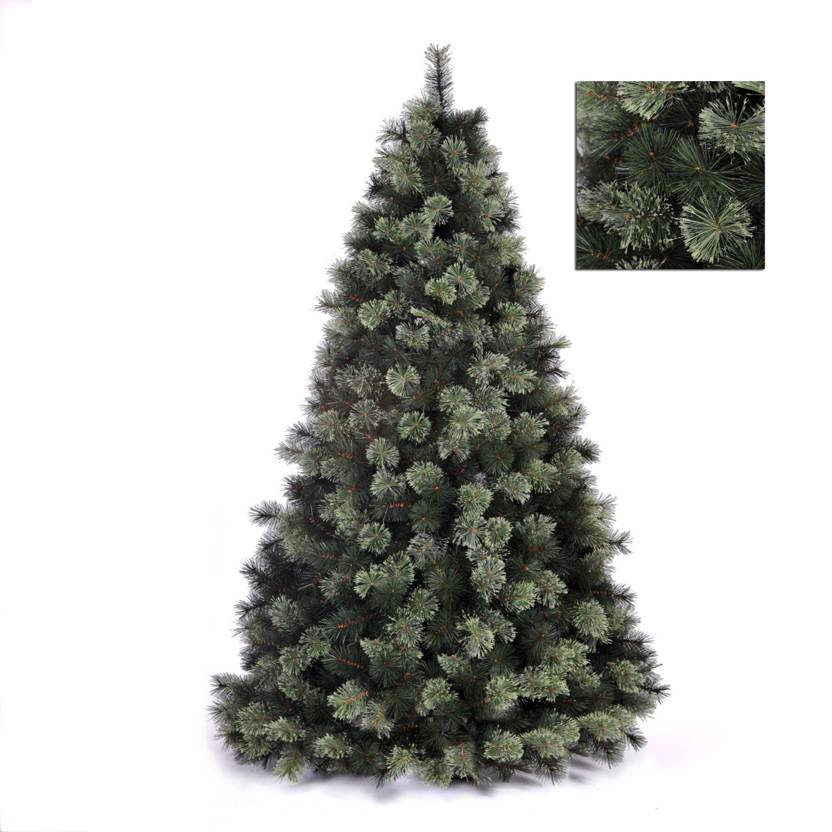 215 COLORADO SPRUCE PE 1064 T