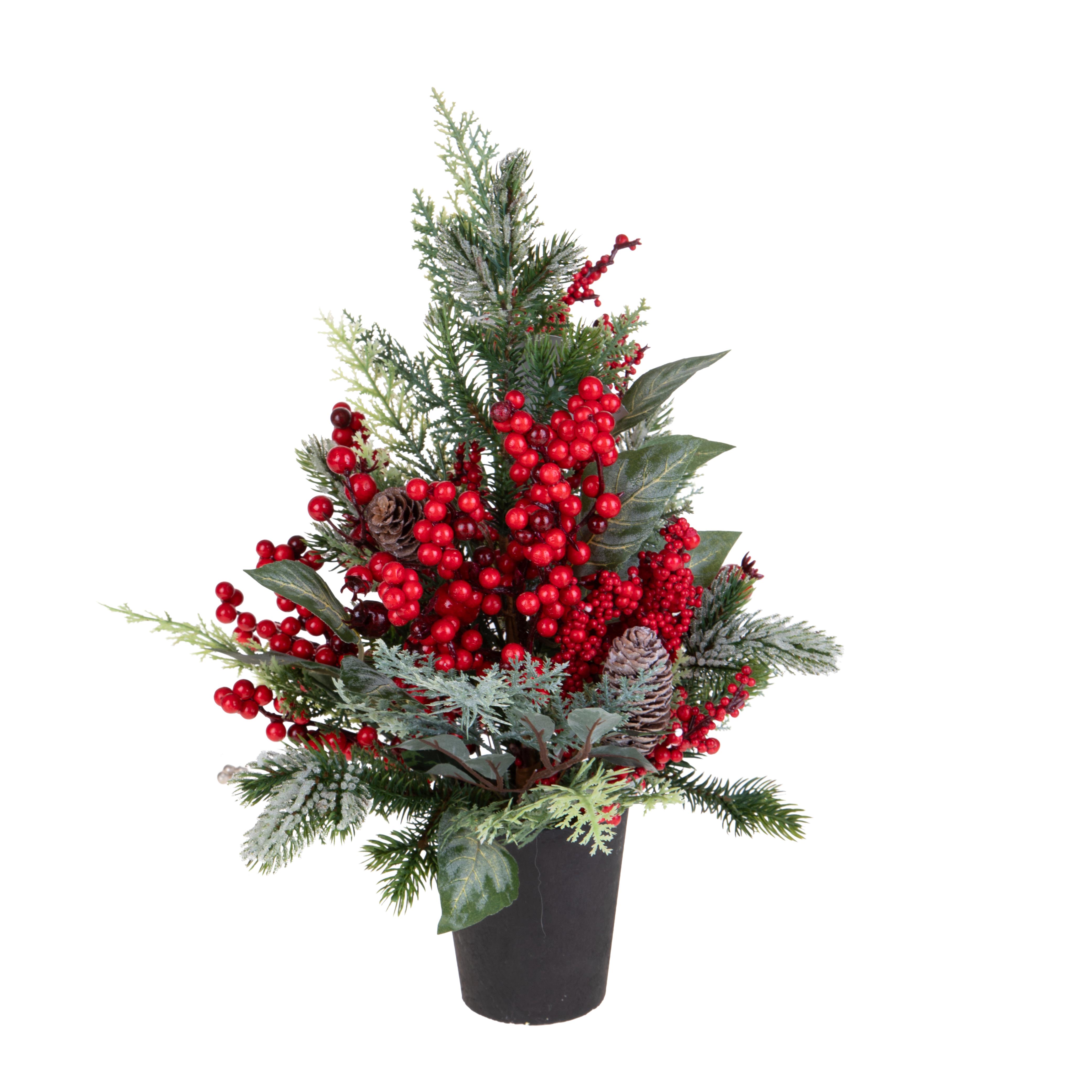 45 ABETE C/BACCHE E PINO BRINATO C/VASO