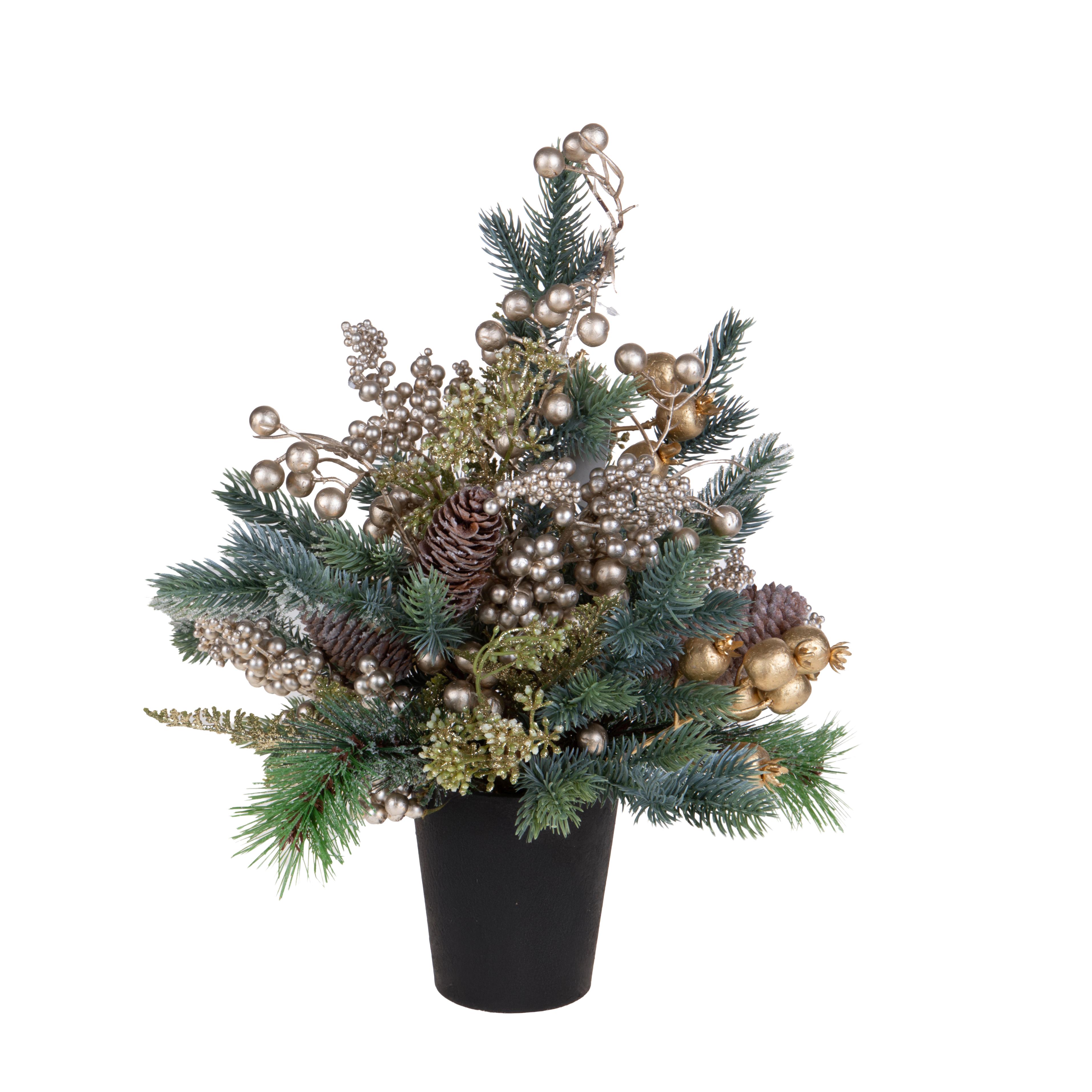 45 ABETE C/ILEX E PIGNE C/VASO