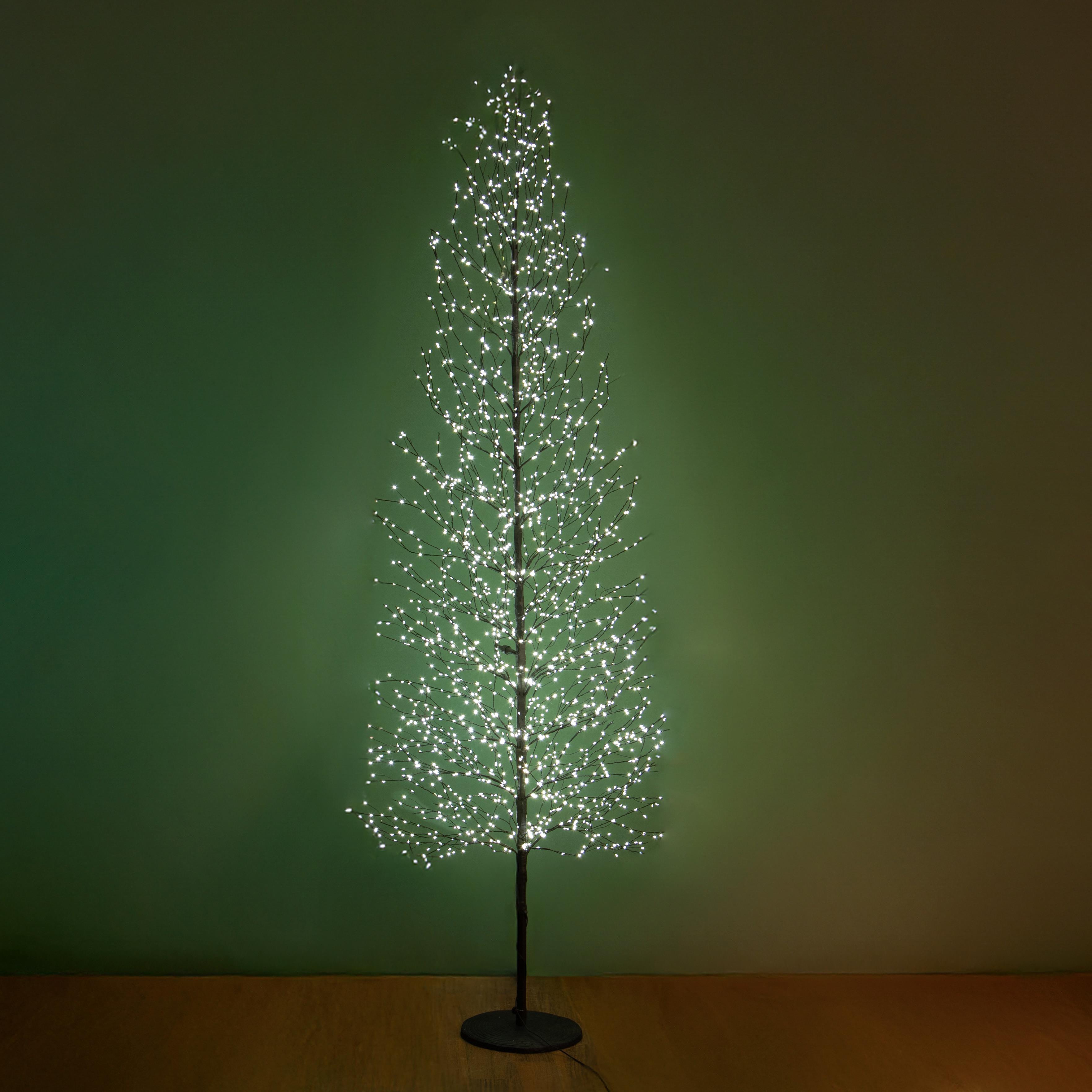 FAGGIO 240 CM 2400 MICRO LED DA EST.