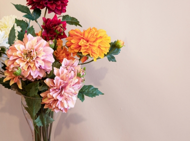 DAHLIA-ASTER-ZINNIA