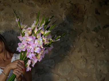 TRANSVAAL DAISY,CARNATION AND GLADIOLUS