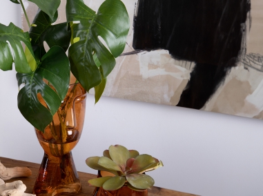 PLANTS