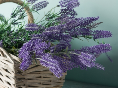 LAVANDA, ERICA IRIS E MUSCARI