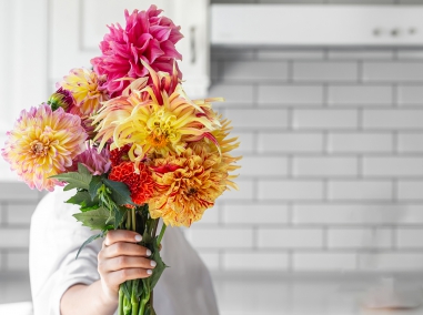 Chrysanthème