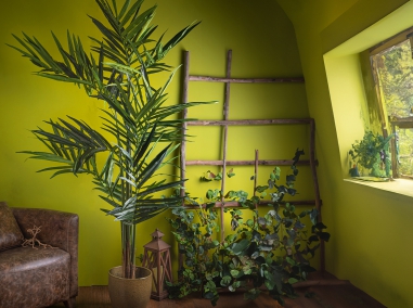 Big Potted Plants