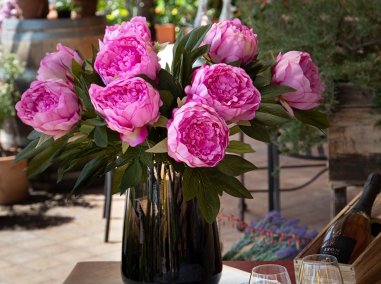 Pivoine