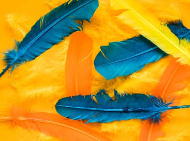 CHALKS, PETALS AND FEATHERS