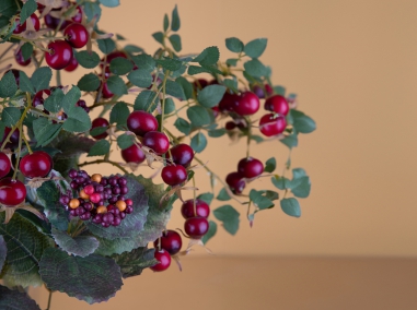 BRANCHES ET GARLANDS AVEC DES FRUITS