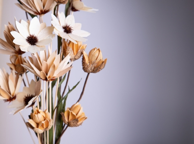Compositions florales naturelles