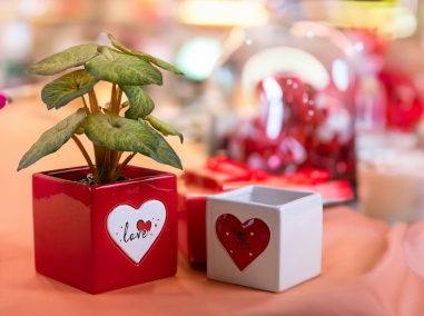 Cuore Contenitori ceramica e mat.