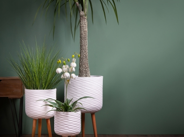 Vasen in Harz und zementieren Sie