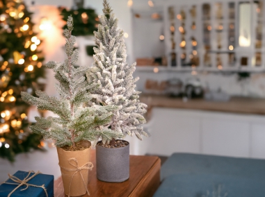 SAPINS DE NOËL DE TABLE